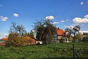 Deutsch: Apfelbäume in Eichenzell-Welkers