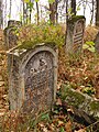 Polski: Cmentarz rzymskokatolicki (wielowyznaniowy) Szczebrzeszyn ul. Cmentarna This is a photo of an object of cultural heritage inscribed in the registry of the Lublin Voivodeship with number A/332.