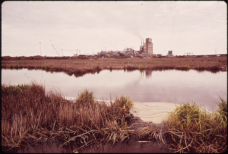 File:THE MARSH IN FRONT OF THE BRUNSWICK PULP AND PAPER COMPANY HAS BEEN DESTROYED BY THE PLANT'S MERCURY WASTE - NARA - 546974.jpg