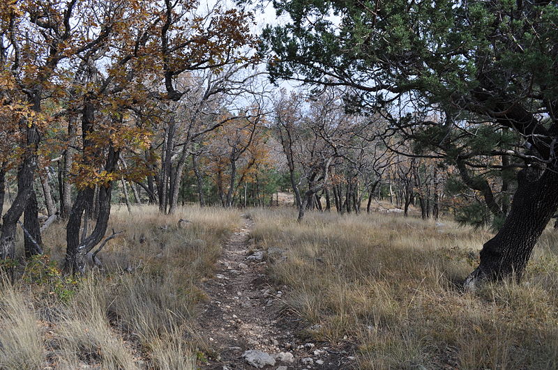 File:Tejas Trail 2.JPG