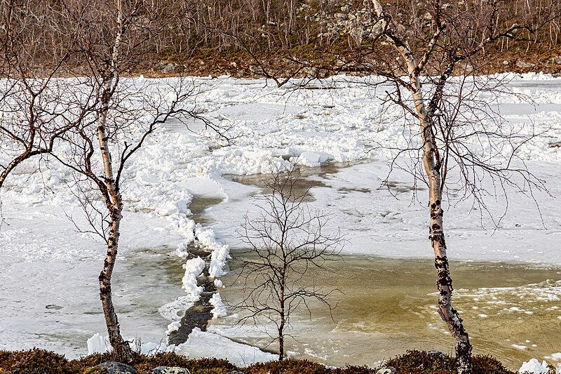 File:Tenojoki, Lapland - 51254505119.jpg