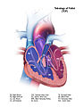 Hình xem trước của phiên bản lúc 08:57, ngày 10 tháng 11 năm 2013