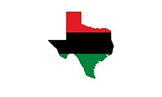 The Texas Black Liberation Flag TexasBlackPowerFlag1A9574EE-E286-49D7-8418-190C17C207E3.jpg