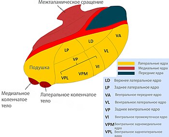 Болезнь Паркинсона