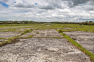 <span class="mw-page-title-main">RAF Templeton</span> Ministry of Defence Dry Training Area in Pembrokeshire, Wales