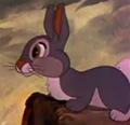 Thumbnail for Thumper (Disney)