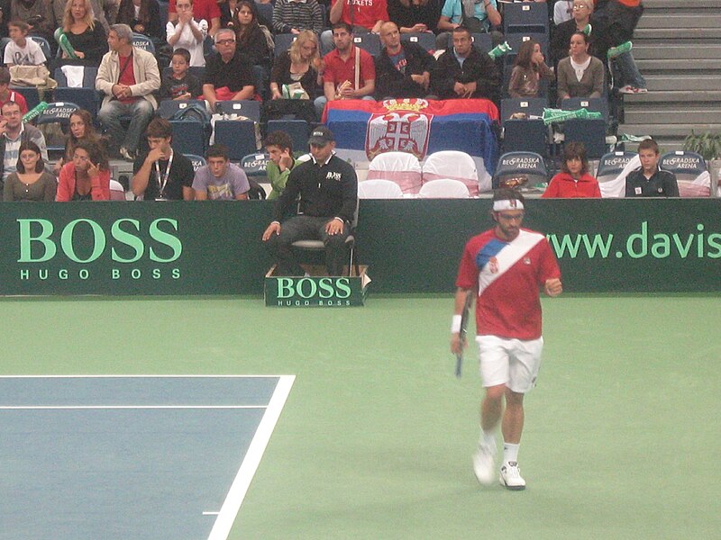 File:Tipsarevic DC10 C.jpg