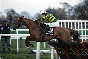 Tony Mccoy