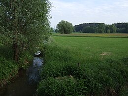 Weißer Main Trebgast: Name, Geographie, Flusshistorie