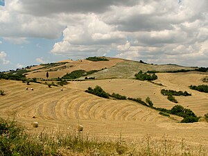 Tuscany landscape west of Siena.jpg