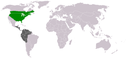 Tyrannus tyrannus distribution map.png