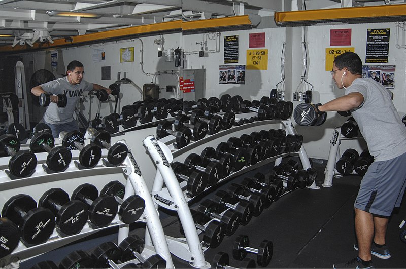 File:U.S. Navy Seaman Luis Lopez lifts weights in the gym in the aircraft carrier USS Carl Vinson (CVN 70) in the Pacific Ocean Dec. 7, 2013 131207-N-UW005-157.jpg