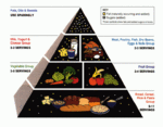 Amerikansk food guide pyramid, framtagen av USA:s jordbruksdepartement 1992