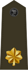 File:US Marine O4 shoulderboard vertical.svg