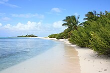 Modèle De Plage De Sable Fin Dans La Matinée Avec Traces Banque D