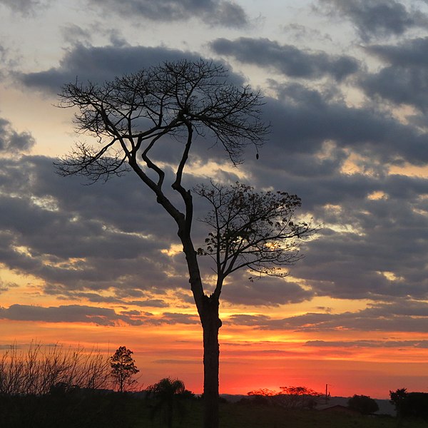 File:Vai o sol de um lado da BR....vem a lua do outro... - panoramio.jpg