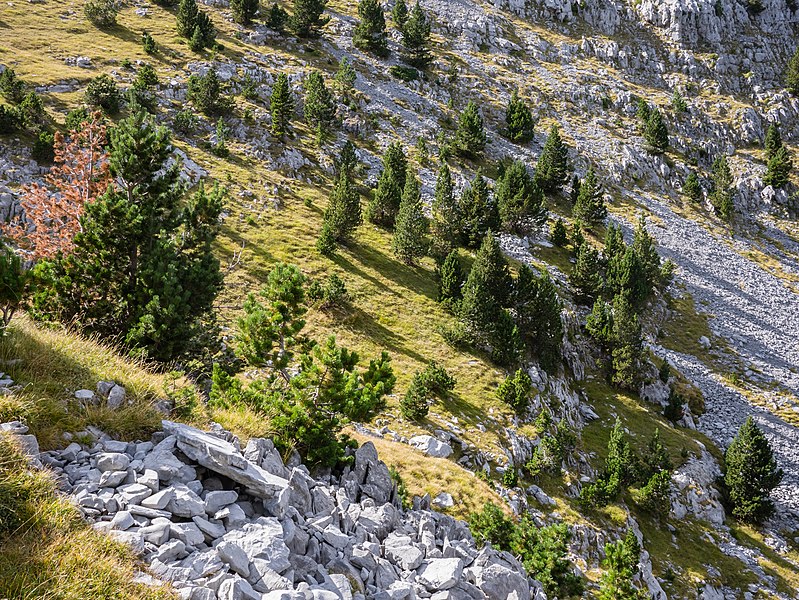 File:Valle de Pineta - Paisaje 02.jpg