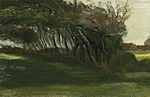 Van Gogh - Landschaft mit Bäumen im Wind.jpeg
