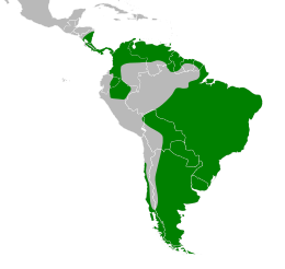Vanellus chilensis map.svg