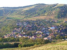 Centro en aŭtuno, 2010