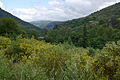 Paisaje del Valle Gordo entre Vegapujín y Fasgar