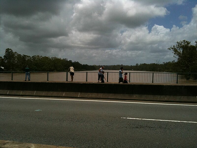 File:View upriver of the Brisband River from Jindalee Bridge.jpg