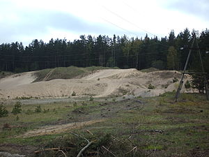 Дюни і ліси заповідника Вієрісті.