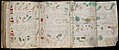 Voynich Manuscript (162).jpg