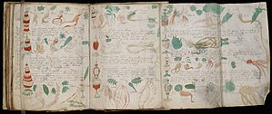 Voynich Manuscript (162).jpg