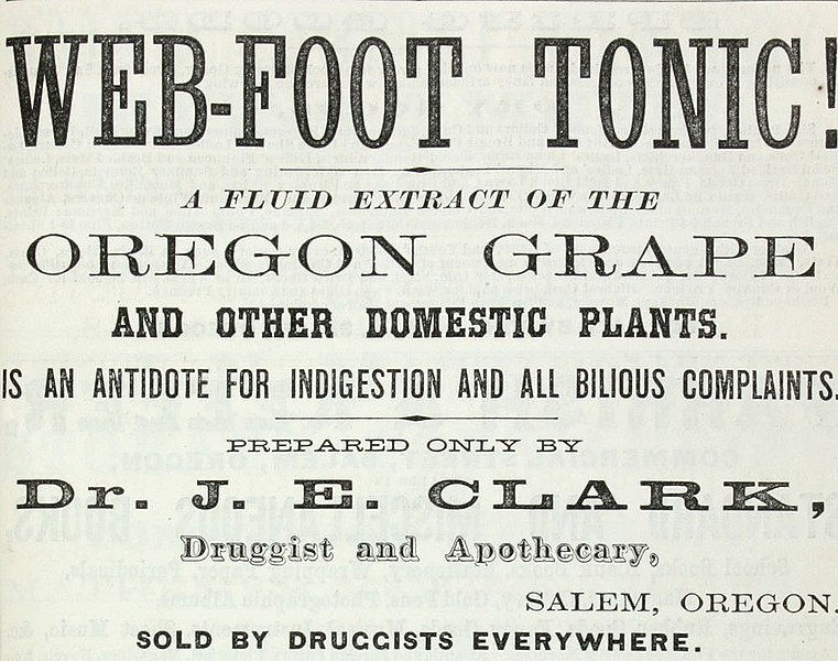 File:Web-foot Tonic (1867) (ADVERT 140).jpeg