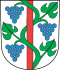 Coat of arms of Weinfelden