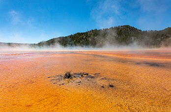 Le Grand Prismatic Spring, source chaude dans le parc national de Yellowstone (Wyoming). (définition réelle 6 639 × 4 350)
