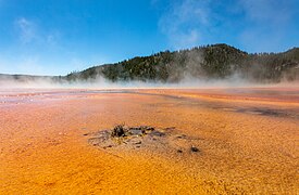 Yellowstone National Park (WY, USA), Grand Prismatic Spring -- 2022 -- 2514.jpg