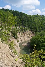 The South Branch gorge within Zoar Valley