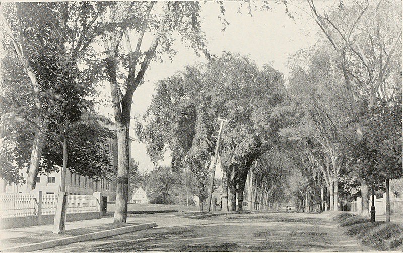 File:"On the banks of the Mystic;" an historic festival under the auspices of the Medford historical society and the personal direction of Miss Margaret McLaren Eager (1896) (14596181608).jpg