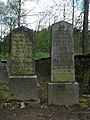 Čeština: Židovský hřbitov v Horní Cerekvi, okres Pelhřimov. English: Jewish cemetery in the town of Horní Cerekev, Pelhřimov District, Vysočina Region, Czech Republic. This is a photo of a cultural monument of the Czech Republic, number: 36832/3-3009. Památkový katalog  · MIS  · hledat obrázky  · hledat seznamy  · Wikidata