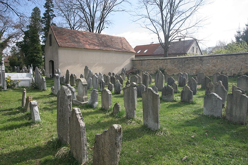 File:Židovský hřbitov Heřmanův Městec 06.JPG