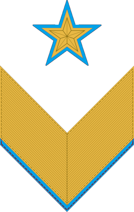 Tập_tin:Нарукавный_знак_генералов_ИТС_ввс.png