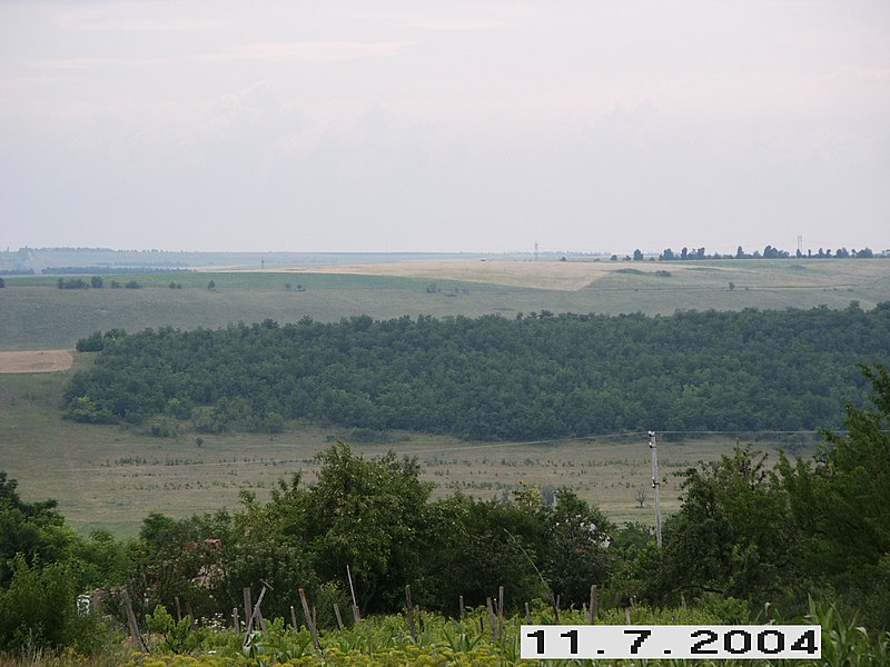 File:Окресности - panoramio.jpg