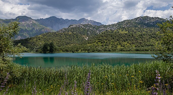 33. Sary-Chelek Nature Reserve author - Marat Nadjibaev