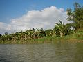 06768jfBridge Landscapes Scenery Sapang Bayan Rivers Calumpit Bulacanfvf 04.jpg