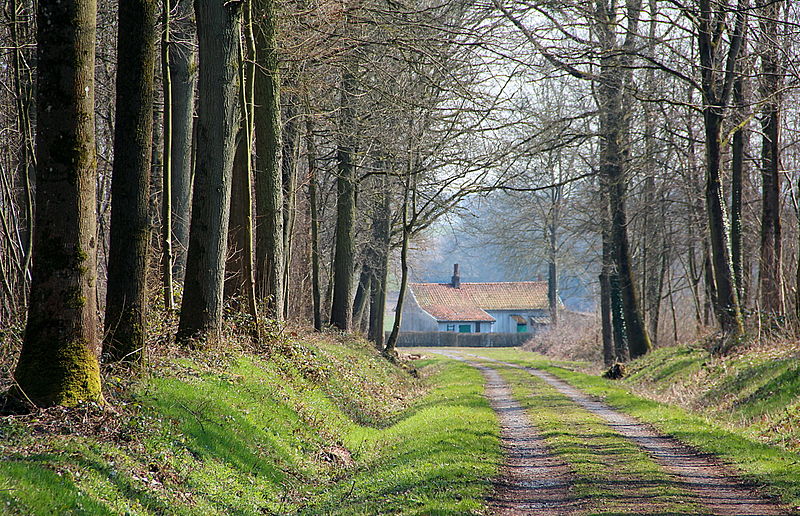 File:0 Havré - Drève et masure du lieu-dit Les Fontaines (1).JPG