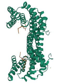 WWTR1 (TAZ) function is inhibited when in complex with 14-3-3 binding protein. 14-3-3 sigma in complex with TAZ pS89 peptide - Protein Data Bank.png