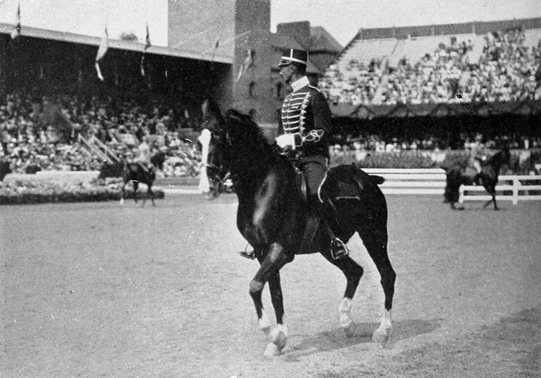 Hípica als Jocs Olímpics d'estiu de 1912 - Doma individual