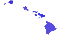 1982 Hawaii'de Amerika Birleşik Devletleri Senatosu seçimleri ilçe.svg tarafından harita sonuçları