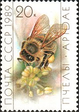 Серия «Пчеловодство»: Рабочая пчела на цветке( (ЦФА  № 6071), 1989 год).