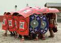 2008-08 archeon testudo.JPG