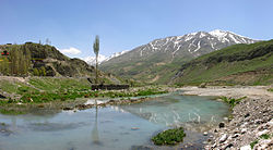 تصویری از پلور