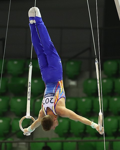 File:2019-06-27 1st FIG Artistic Gymnastics JWCH Men's All-around competition Subdivision 3 Still rings (Martin Rulsch) 086.jpg