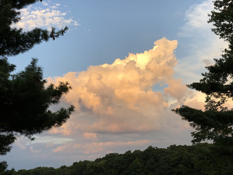 File:2022-08-05 19 53 28 View of towering cumulus near sunset from Mercer County Route 526 (Robbinsville-Edinburg Road) in Robbinsville Township, Mercer County, New Jersey.jpg